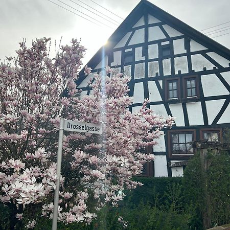 Das Pautzen Haus Daun Exterior photo