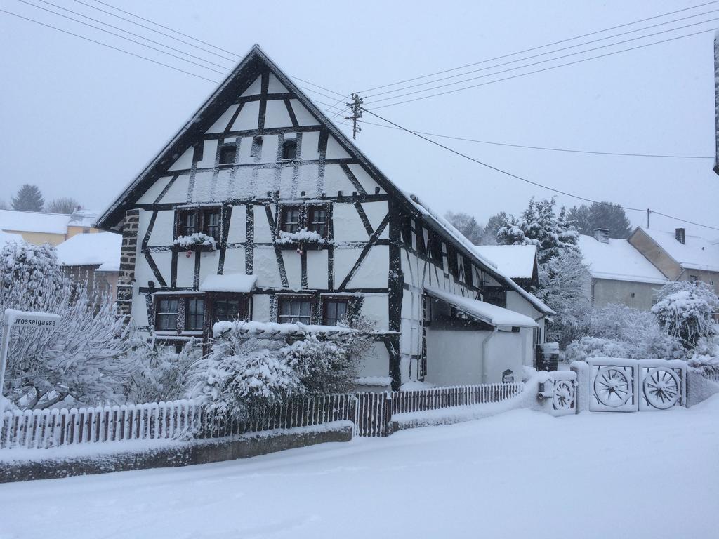 Das Pautzen Haus Daun Exterior photo